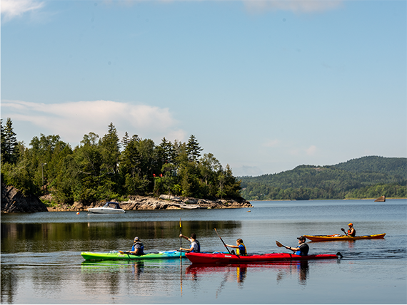 A group of kayakers