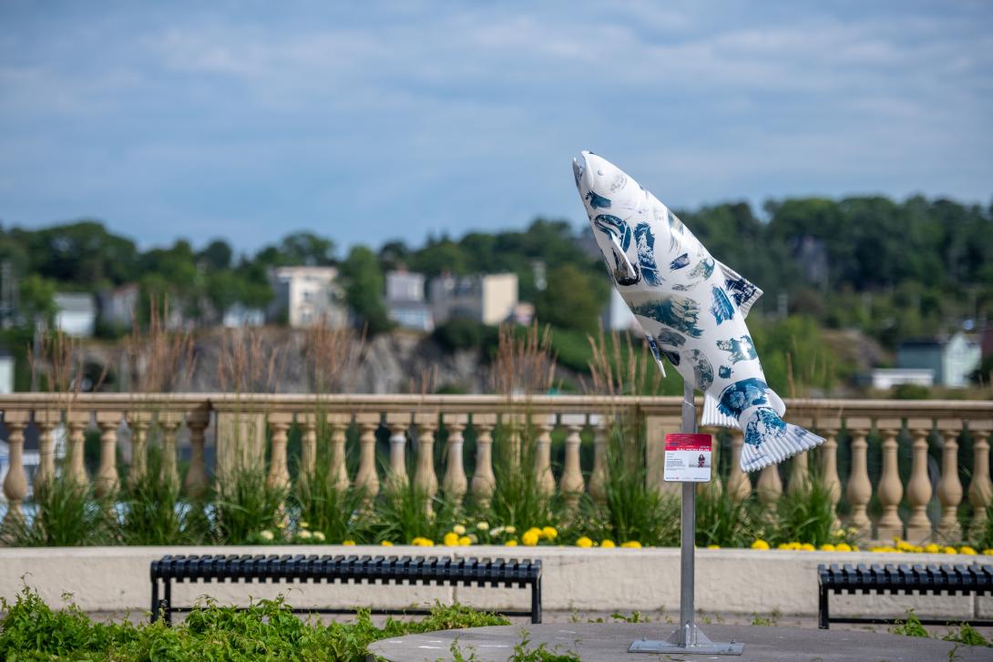 Image of salmon public art