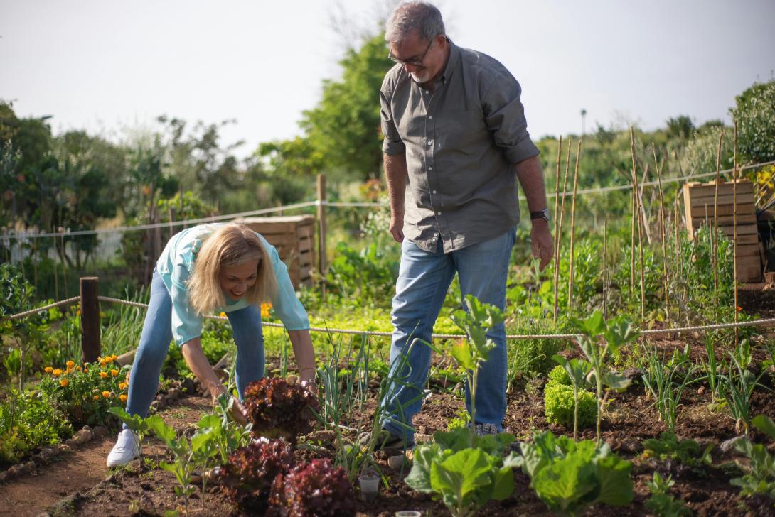 Two people gardening